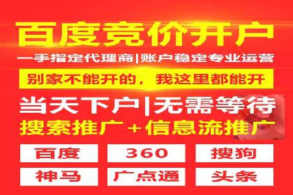 SEM代运营服务公司成功案例解析
